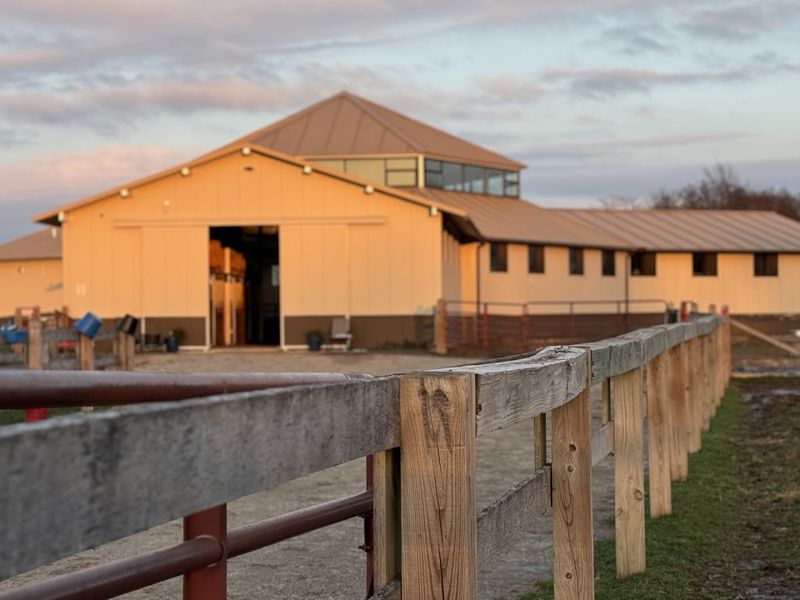 Ben's Ranch Foundation Brings Heart to Every Ride