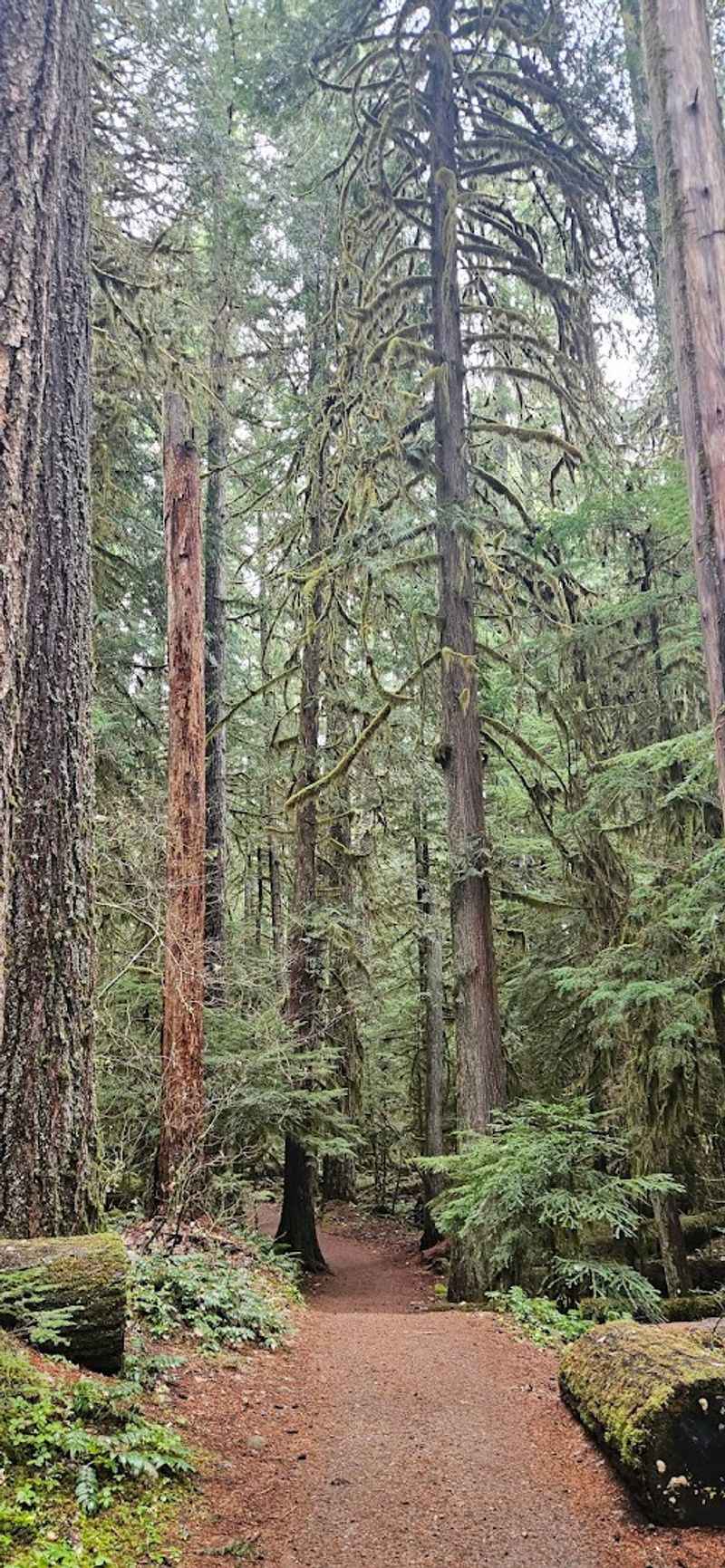 Best Times to Visit Bagby Hot Springs