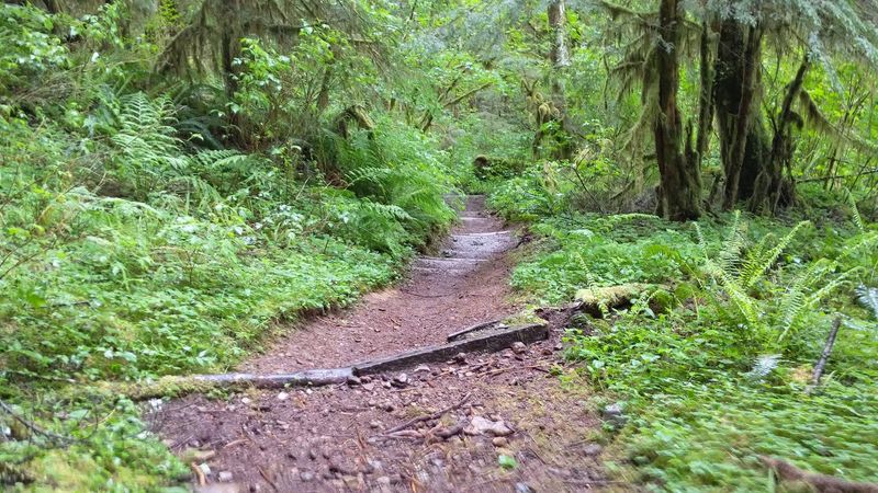 Best Times to Visit and What to Bring Along
