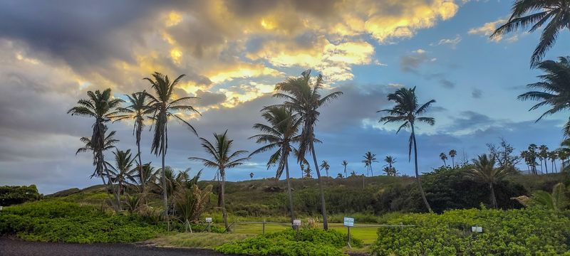Best Times to Visit for the Quietest, Most Magical Experience