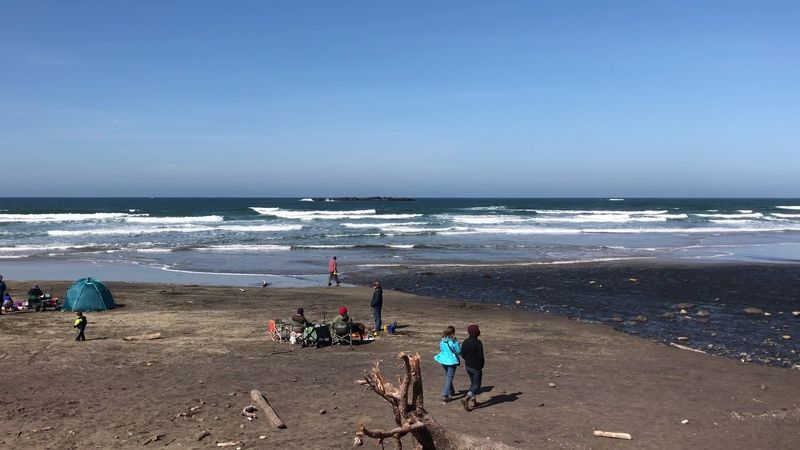 Beverly Beach, Newport, Oregon