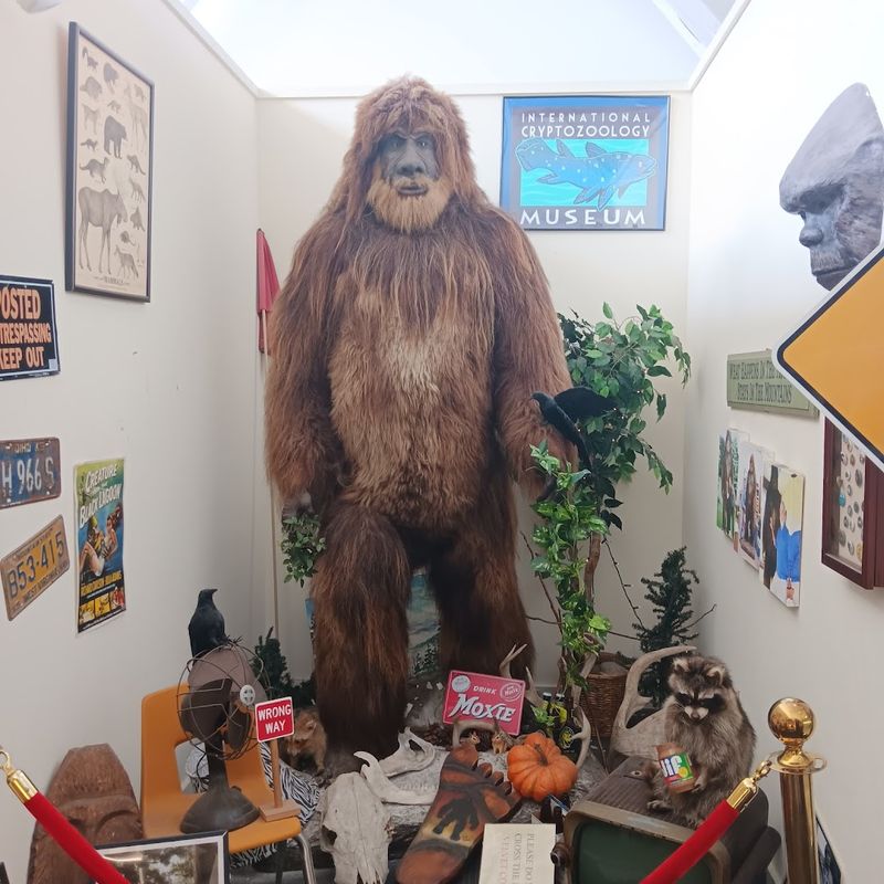 Bigfoot Steals The Room