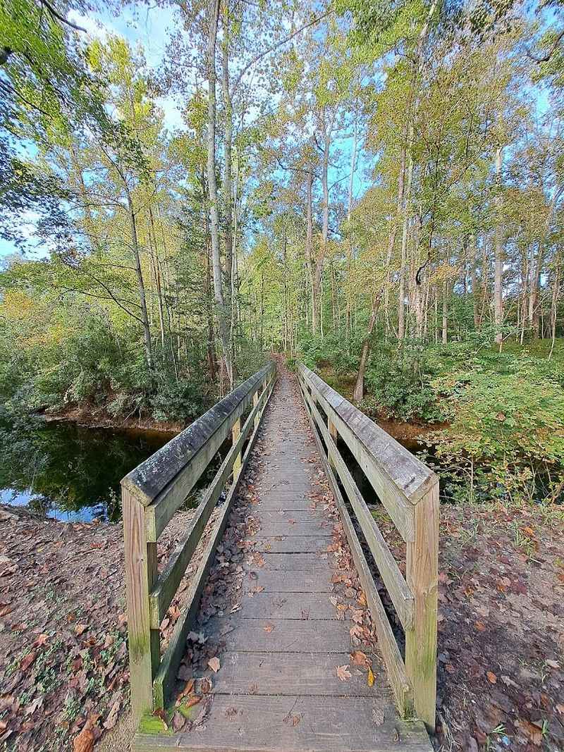 Biking Trails and Multi-Use Path Network