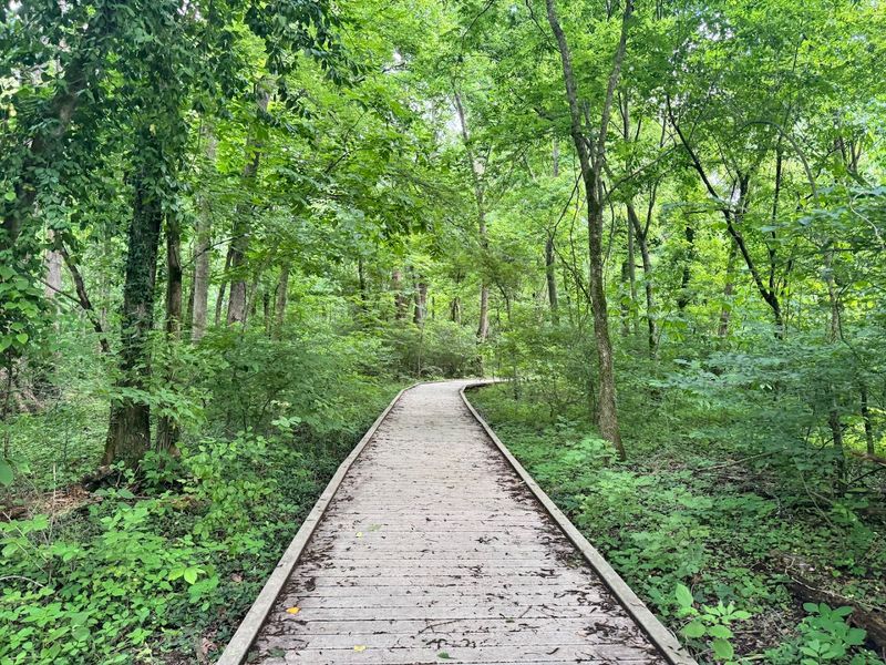 Bird Watching at Mingo Through the Seasons