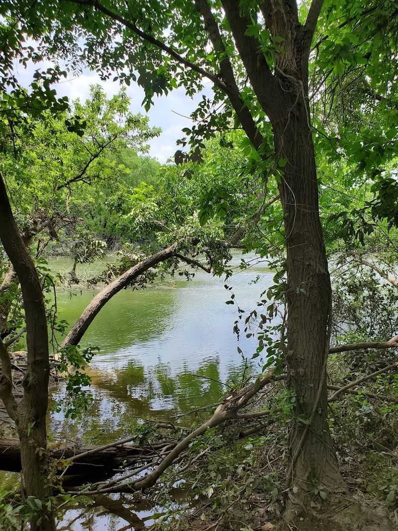 Birding, Wildlife, and Why This Trail Draws Serious Nature Watchers