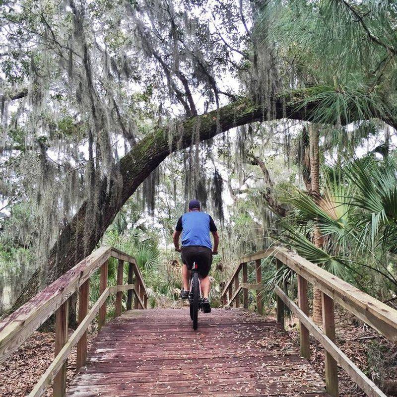 Birding on Georgia's Colonial Coast Trail: A Feathered Spectacle Birding on Georgia's Colonial Coast Trail: A Feathered Spectacle