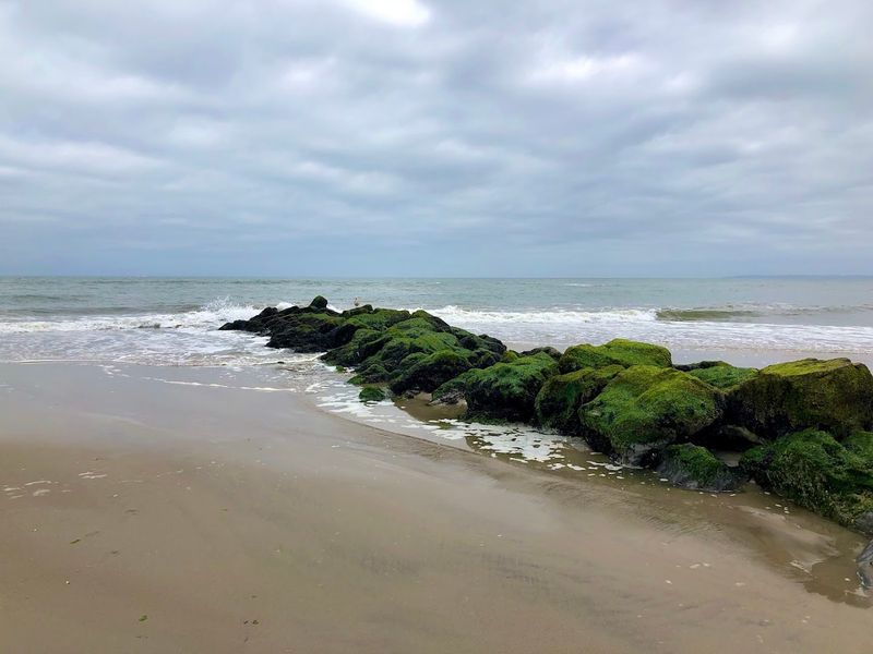 Birds, Dunes, and a Surprisingly Wild Ecosystem