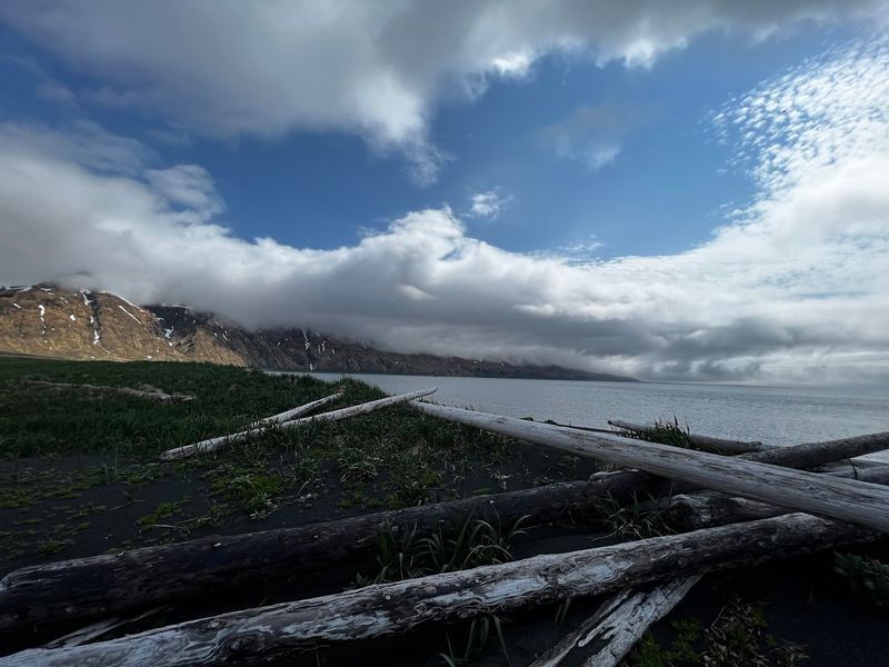 Birdwatcher's Paradise at the Edge of the World