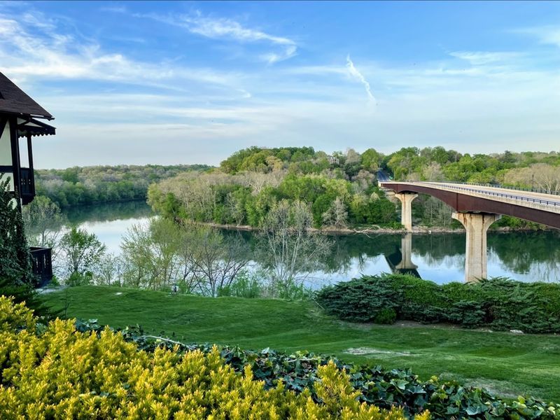 Birdwatching Along the Potomac Valley