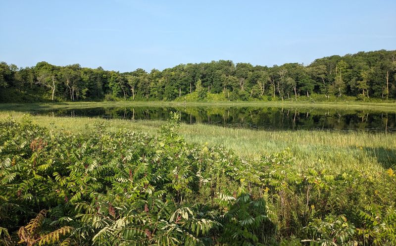 Birdwatching Paradise With Over 150 Species
