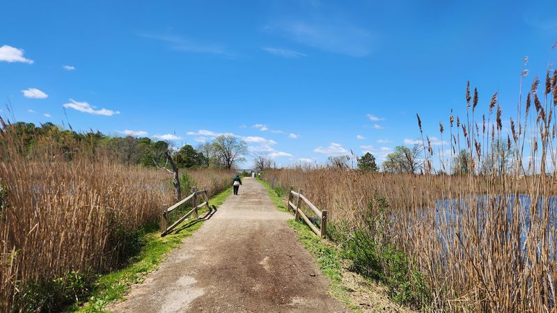 Birdwatching on Kent Island, a Surprisingly Rich Experience