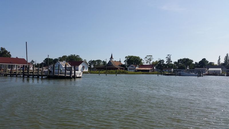 Birdwatching on an Island That Sits in the Middle of the Flyway
