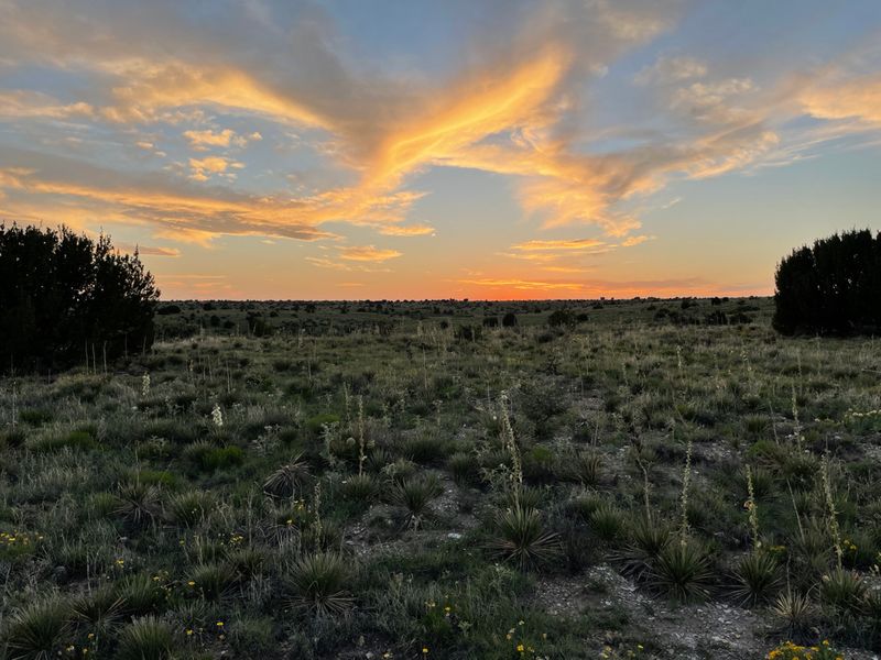 Black Mesa State Park, Kenton