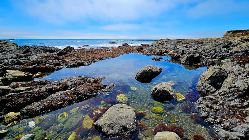 Black Sand Beaches and Tide Pools Worth Exploring