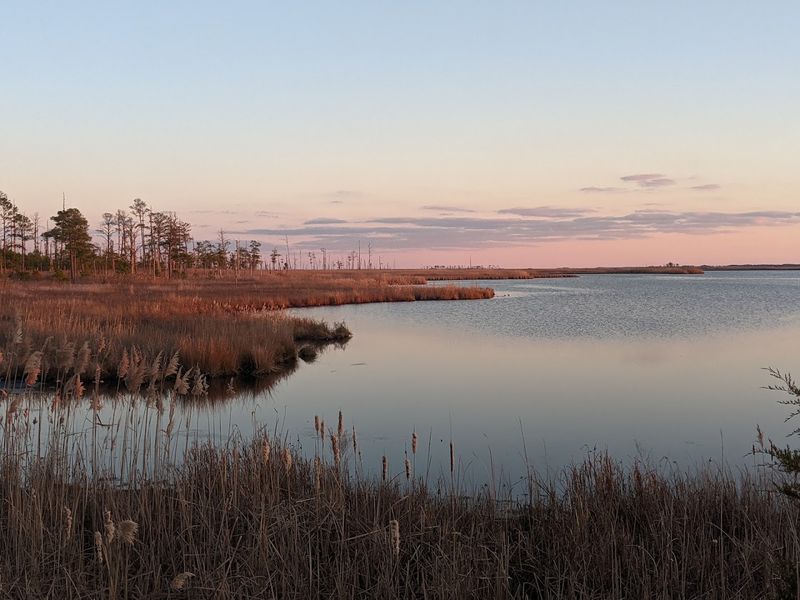 Blackwater National Wildlife Refuge, Nature at Its Wildest