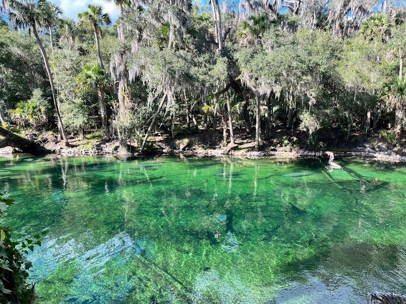 Blue Springs State Park
