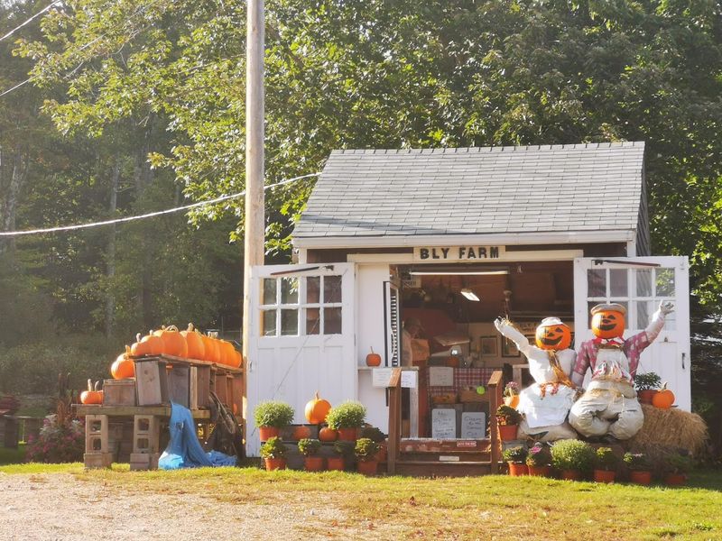Bly Farm and Ice Cream, Wolfeboro, NH Bly Farm and Ice Cream, Wolfeboro, NH