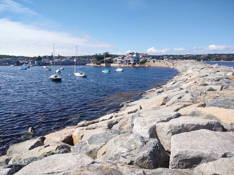 Boat Tours and Water Adventures Departing from the Harbor