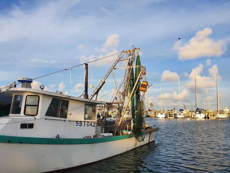 Boat Watching at the Marina: A Living Parade on the Water