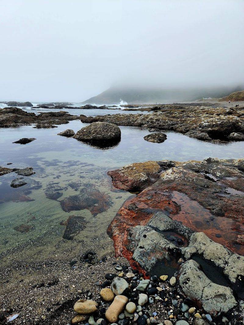 Bob Creek, Yachats, Oregon