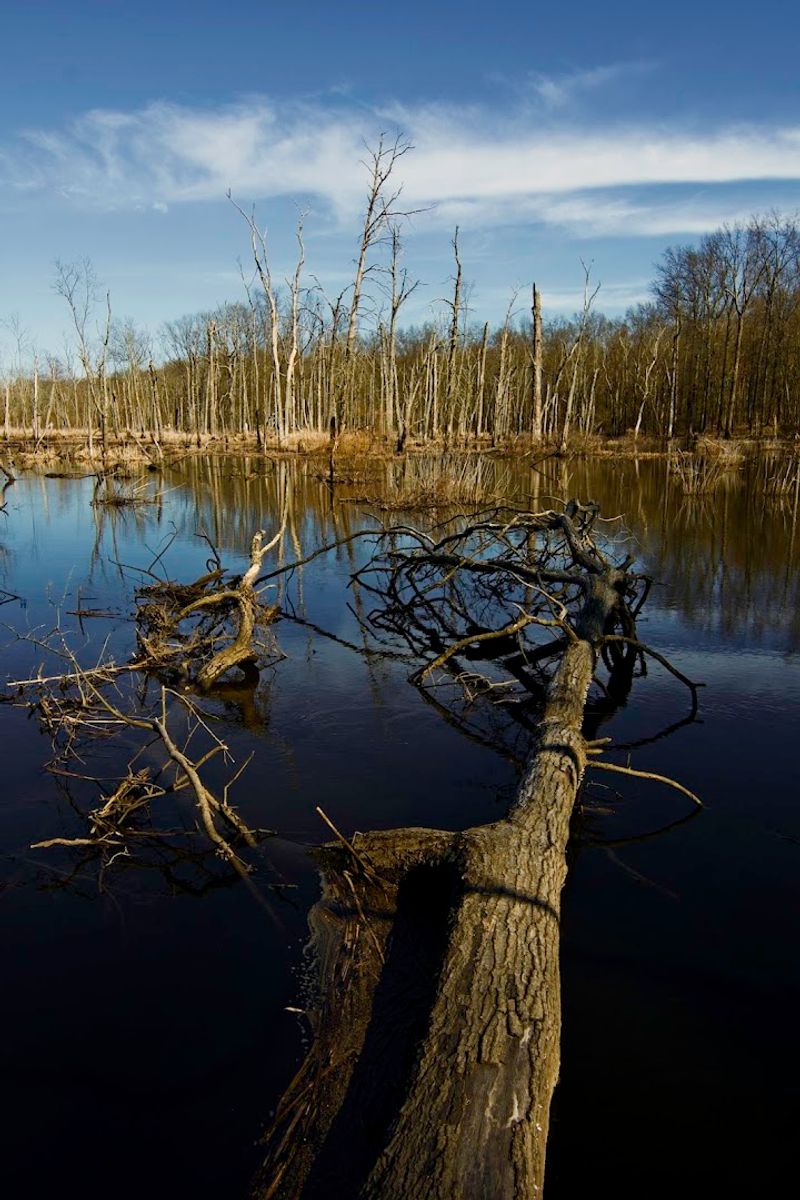 Bockoven Trail, Great Swamp National Wildlife Refuge