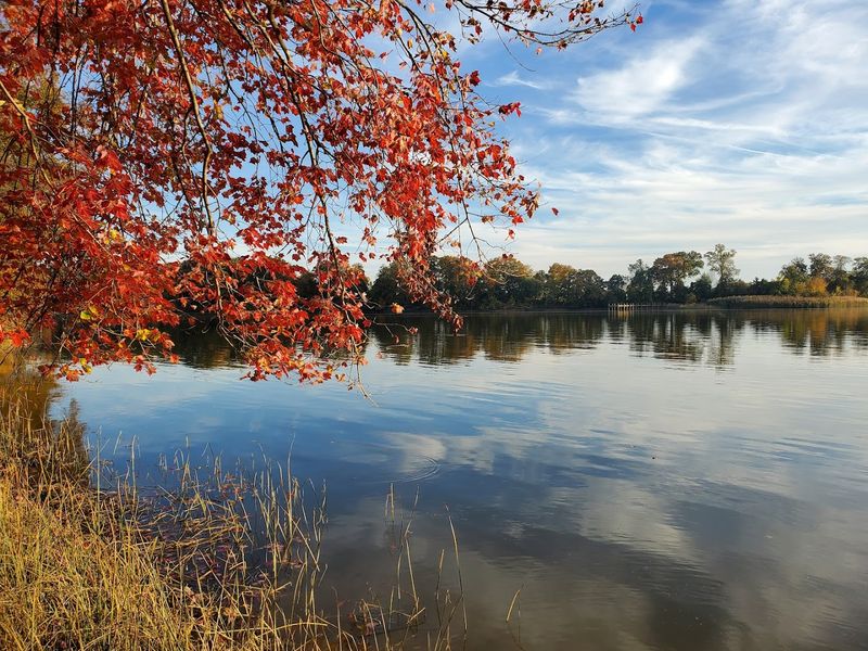 Bohemia River State Park