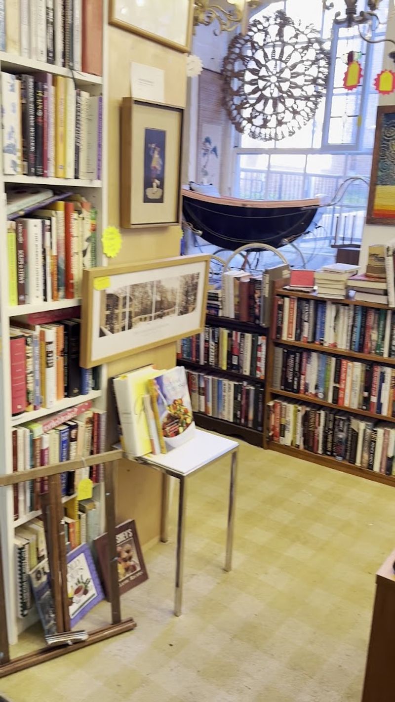 Books, Vintage Records, Fossils, and the Joys of Unexpected Finds