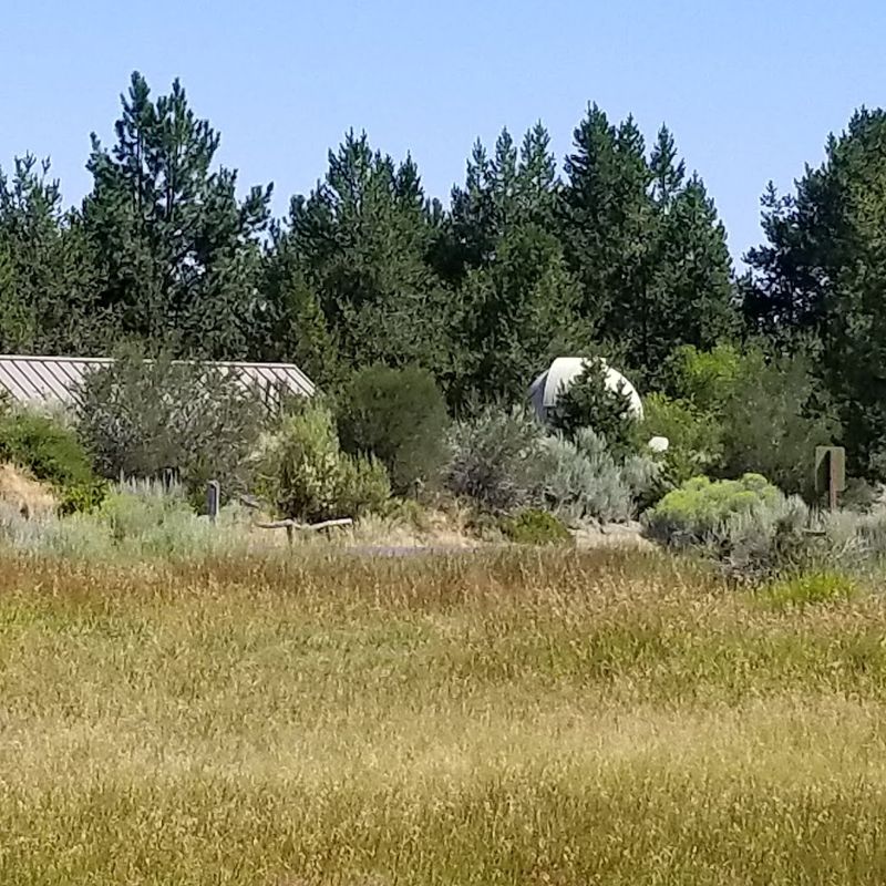 Botanical Gardens Full of High Desert Surprises