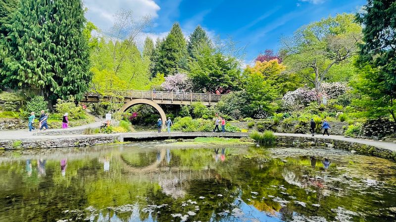 Bridges and Scenic Viewpoints That Frame the Landscape Bridges and Scenic Viewpoints That Frame the Landscape