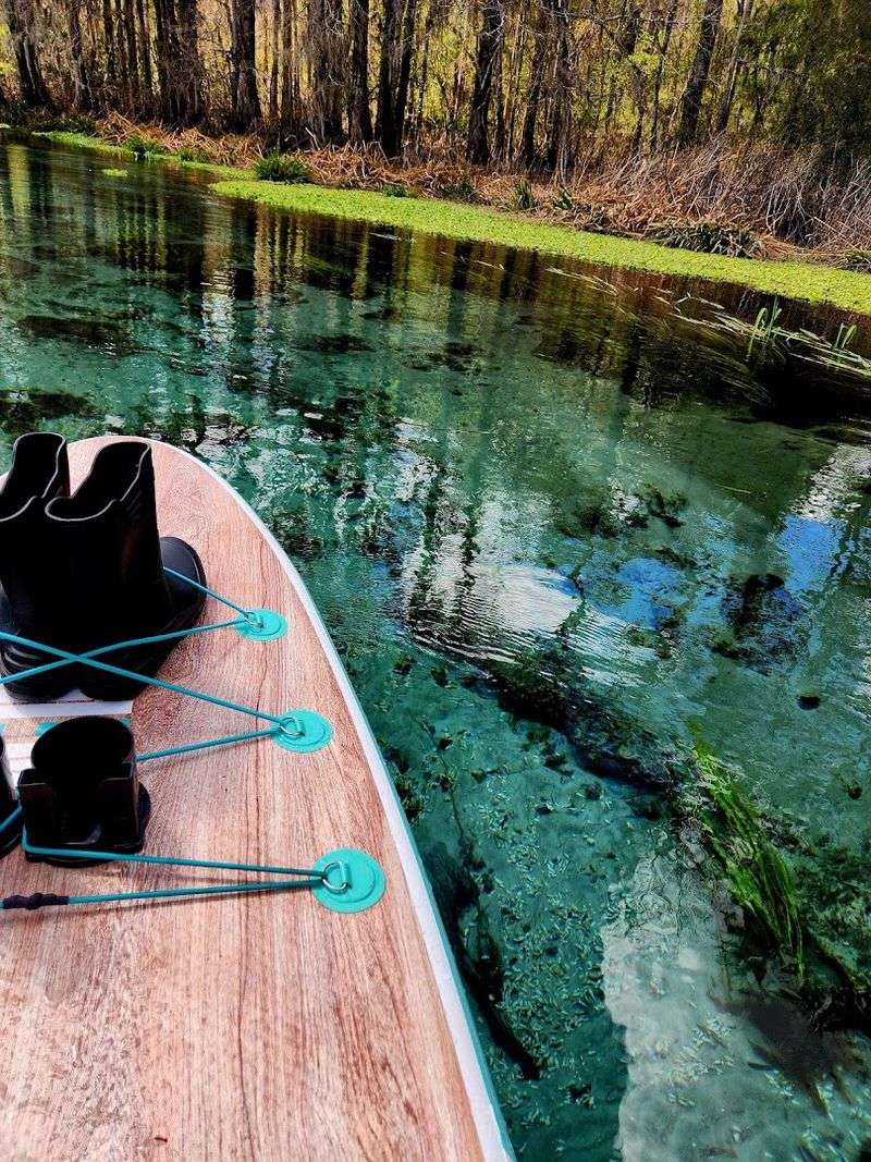 Bring The Kind Of Day That Has No Rush