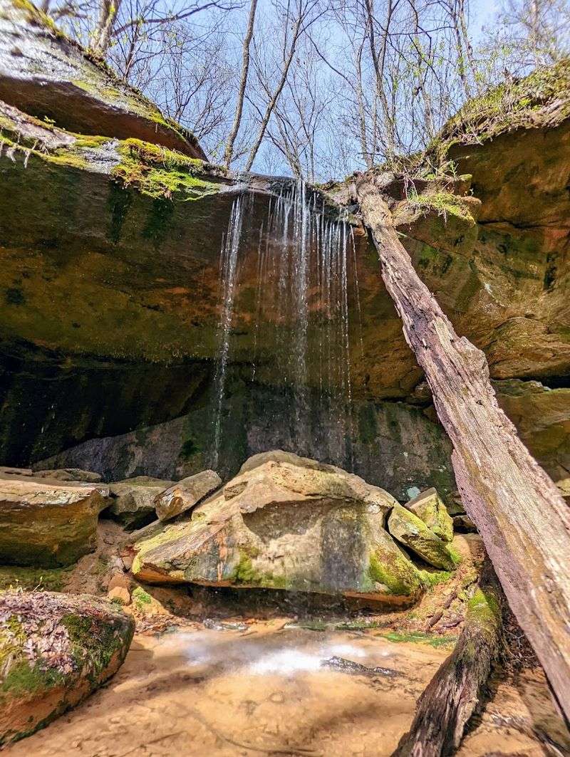 Bring Your Eyes, Not Just Your Steps
