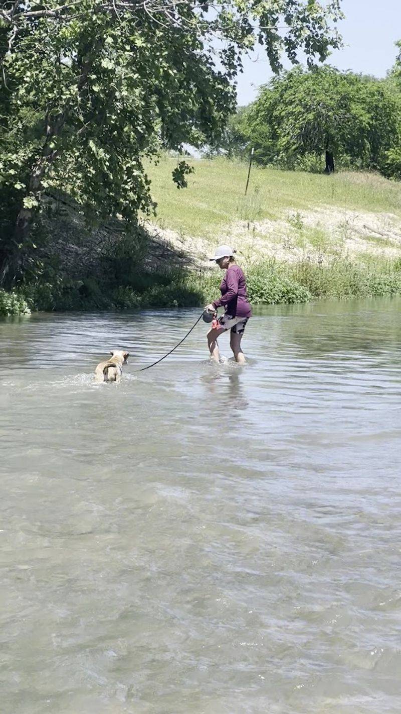 Bringing Your Dog Along for the Adventure