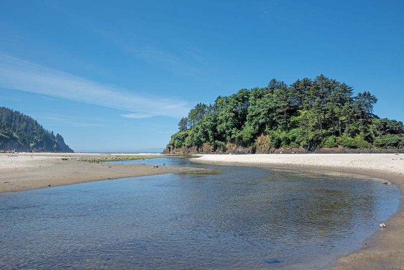 Bringing the Dogs, One of Oregon's Best Off-Leash Friendly Beaches