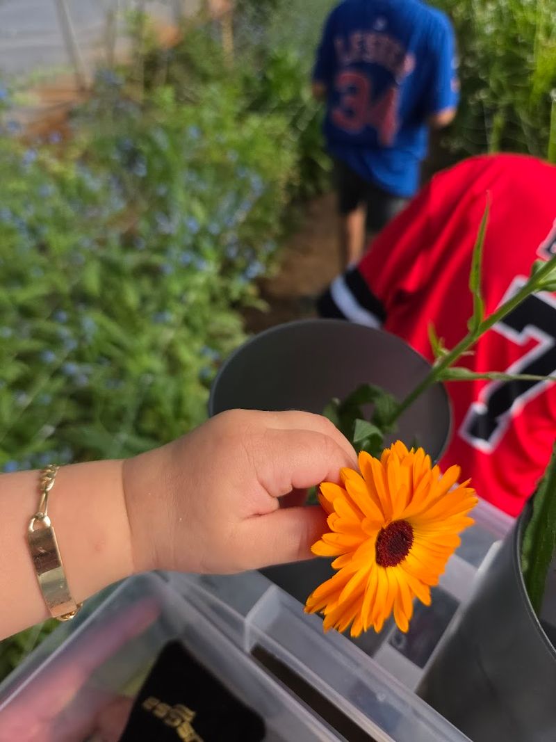 Building Your Own Bouquet Is the Whole Point