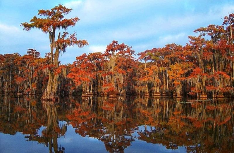Caddo Lake, Karnack Caddo Lake, Karnack