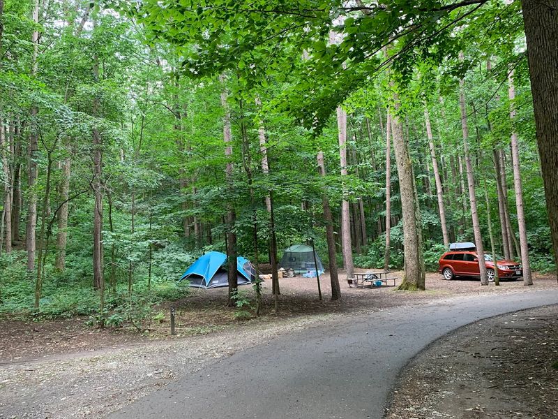 Camping Here Feels Like a Reward in Itself Camping Here Feels Like a Reward in Itself