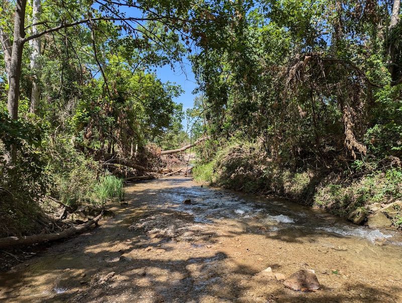 Camping Near the Creek Adds a Whole New Layer