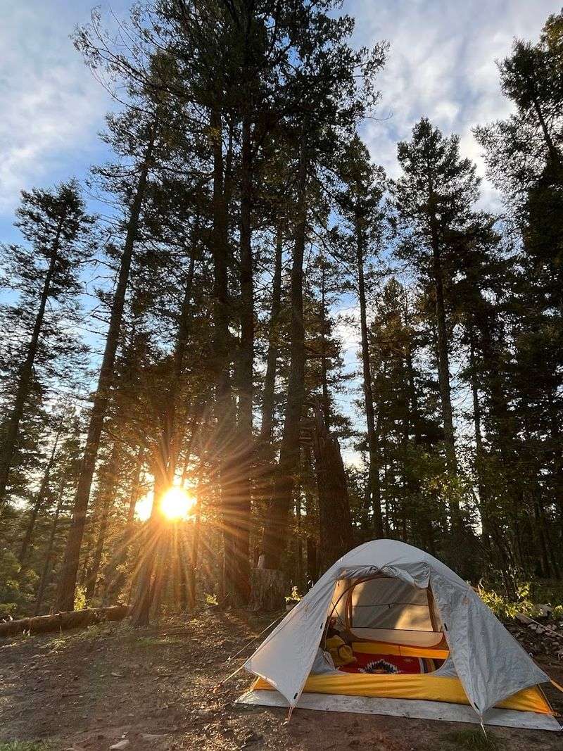 Camping Under the Stars at Elevation in Lincoln National Forest