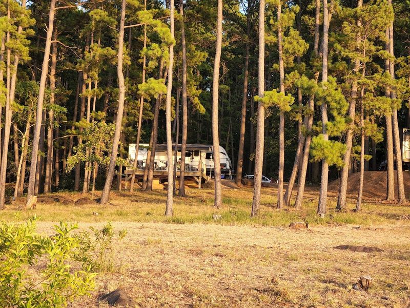 Camping Under the Stars in Southeastern Oklahoma