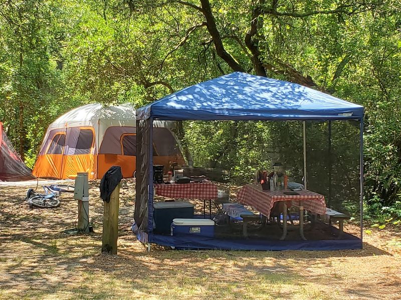Camping With Your Dog at One of Virginia's Most Beloved Parks Camping With Your Dog at One of Virginia's Most Beloved Parks