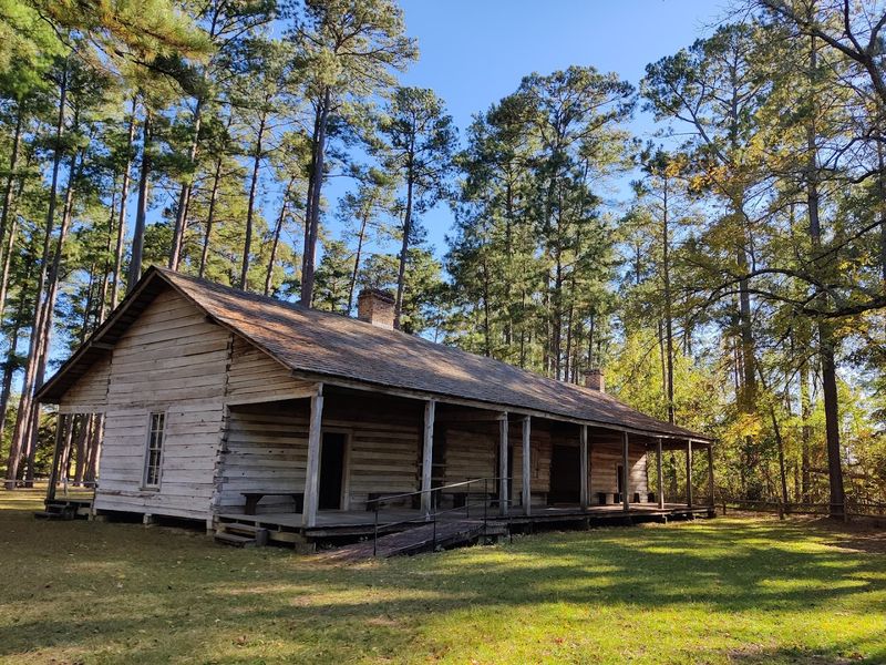 Camping and Dispersed Stays: Spending the Night Under the Pines Camping and Dispersed Stays: Spending the Night Under the Pines