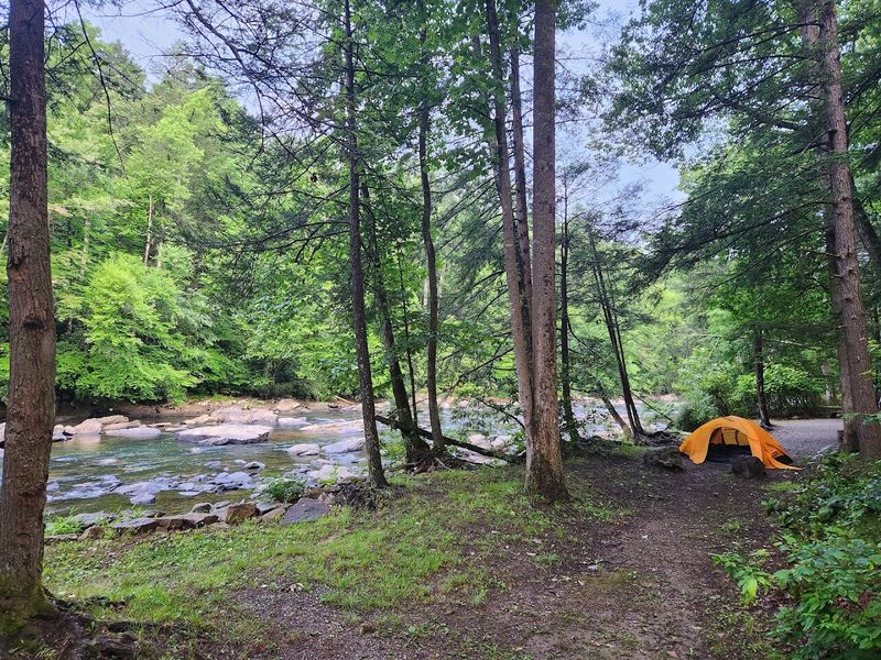 Camping at Audra State Park