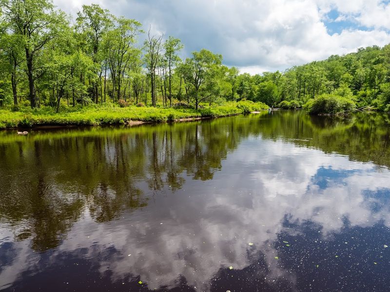Canaan Valley National Wildlife Refuge