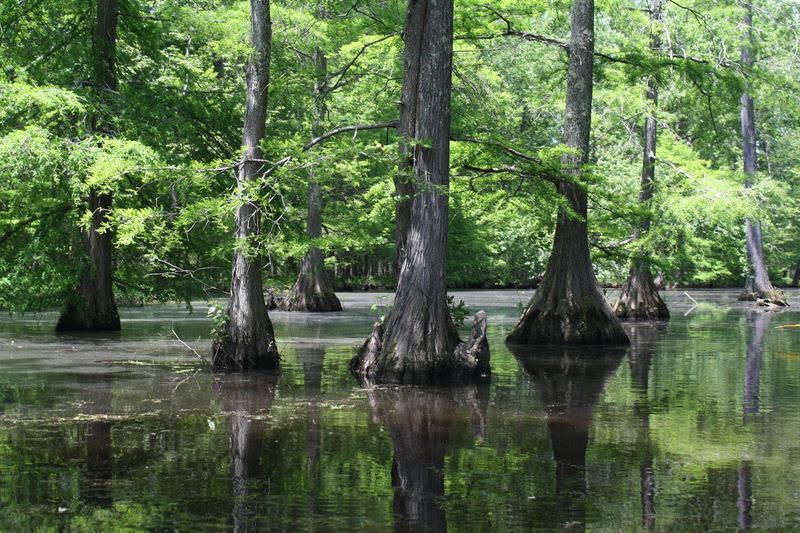 Canoeing and Fishing Opportunities on the Water