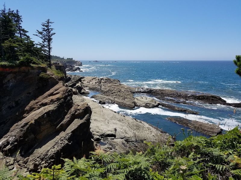 Cape Arago State Park, Coos Bay, Oregon