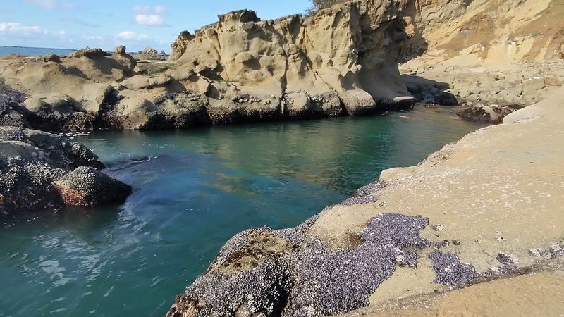 Cape Arago State Park Loop, Charleston, Oregon
