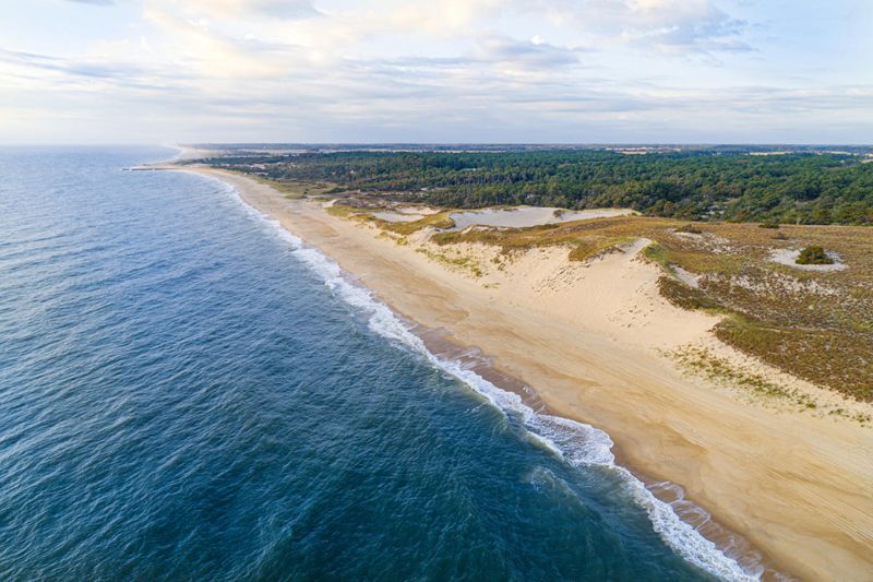Cape Henlopen State Park Is Right There Cape Henlopen State Park Is Right There