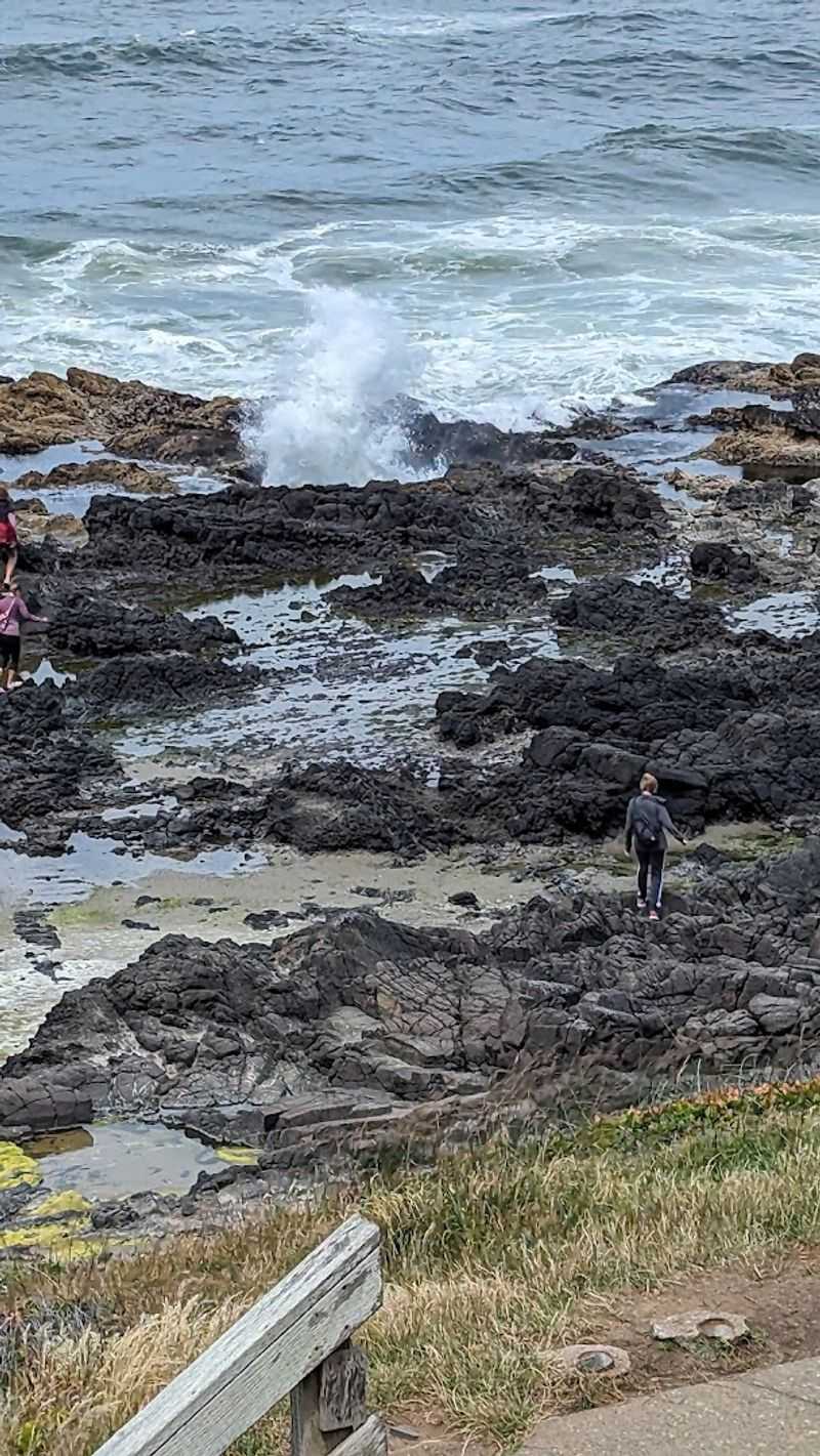 Cape Perpetua Scenic Area, Dunes City, Oregon