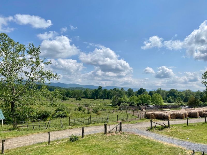 Capon Crossing Farm Market Capon Crossing Farm Market