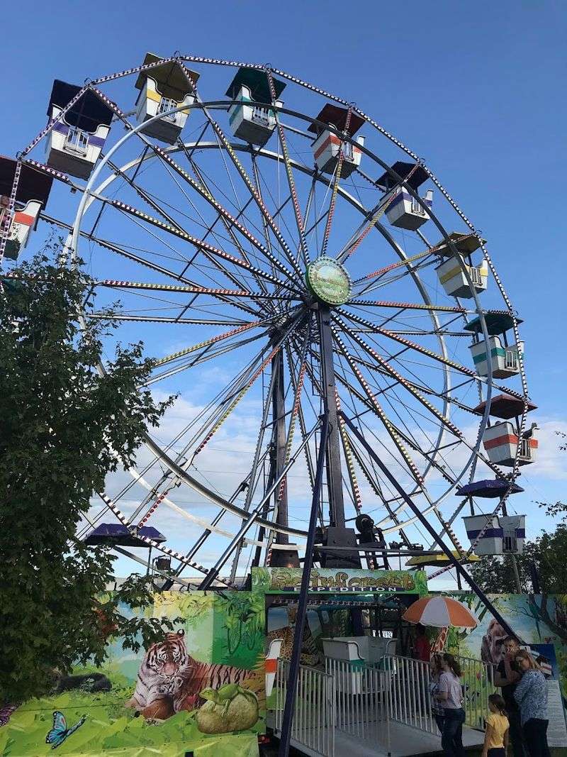 Carnival Rides That Light Up the Night Sky